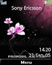 Flower pink