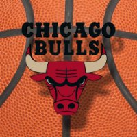 basket chicago bulls