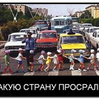 image (15)