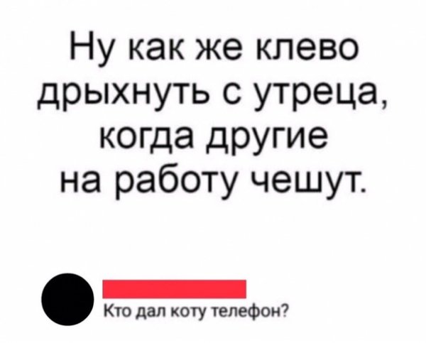 file_76326864