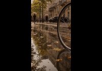 Осень