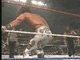 SweetChinMusicdiHbkShawnMichaels