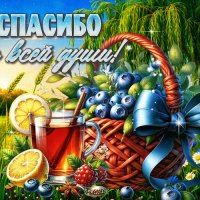 Ocarovatelnaya-letnyaya-gif--spasibo-ot-vsei-dusi-182738