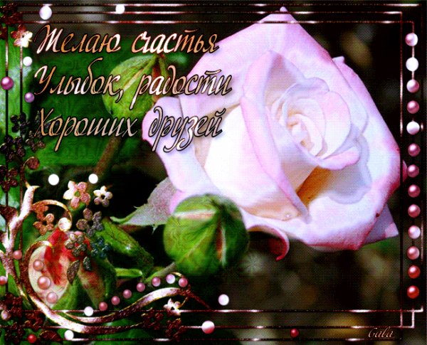 Желаю счастья!