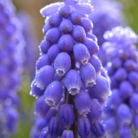 Image (72)
