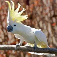 file_46651026