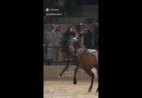 video_109851489