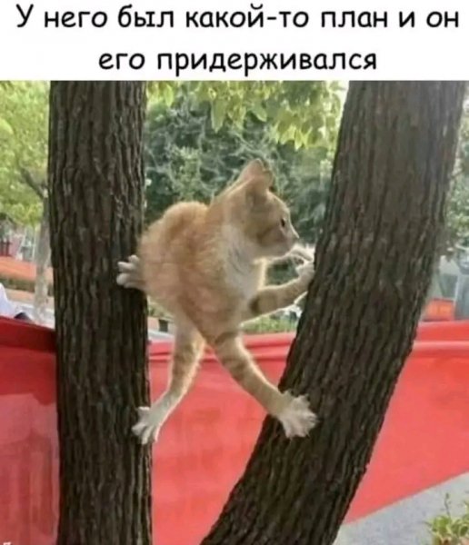 file_103559126