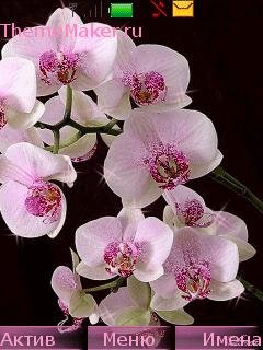 file_62395718