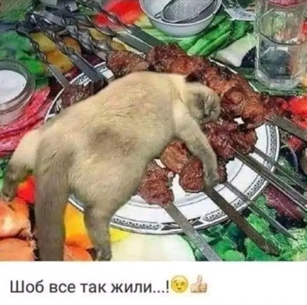 file_103527303