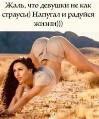 p.236.236.0