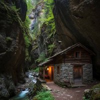 file_103609669