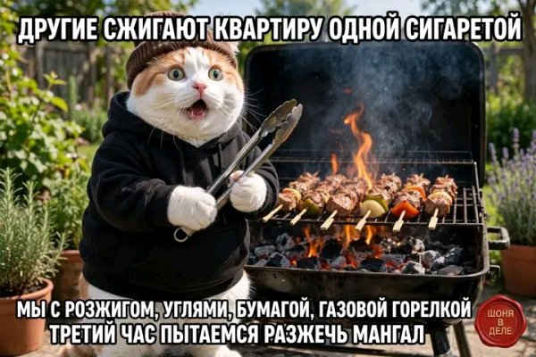 file_103260804