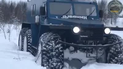 video_57427287