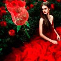 file_52920800