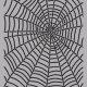 spider v095