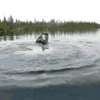 Довыё...
