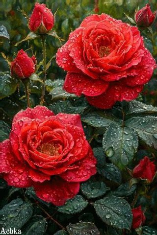file_99025920