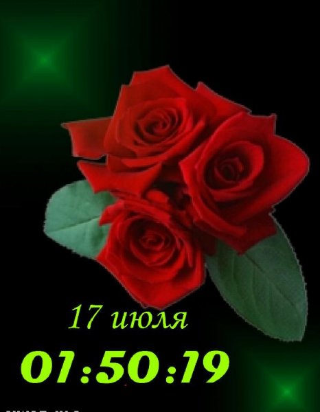 Розы красные