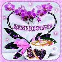 Bd9f6725aff9ae9352fe0dea1c36b4b5
