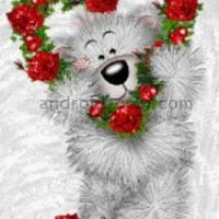 getImage (81)