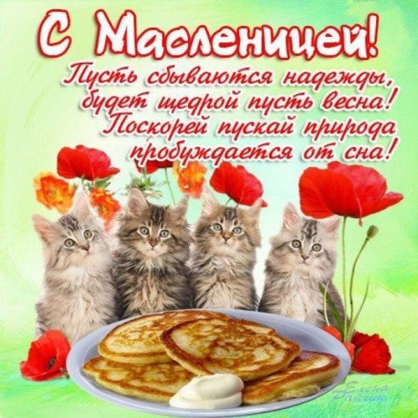 file_83951945