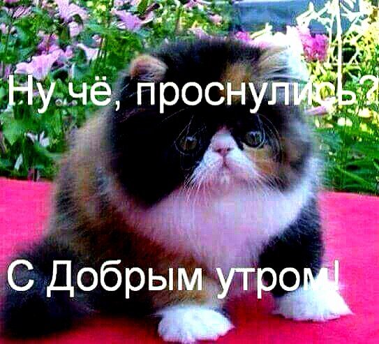 IMG 20180910 140620 785