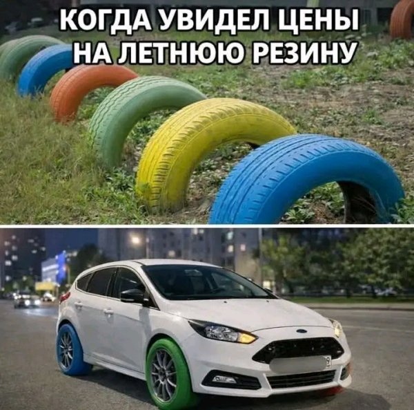 file_103498080