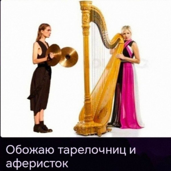 file_103498363