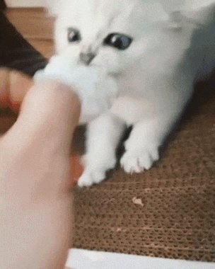Мое!!!! Неадям!!!!!!! Ам!!!!