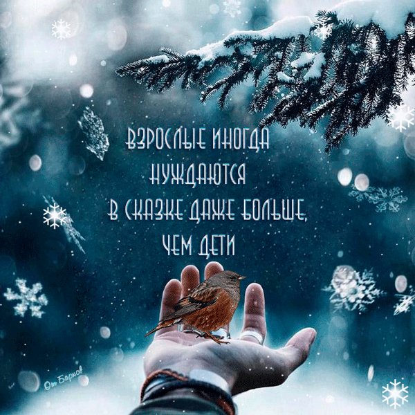 Взрослые иногда нуждаются в сказке..