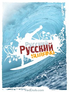 surf240x320-[1]