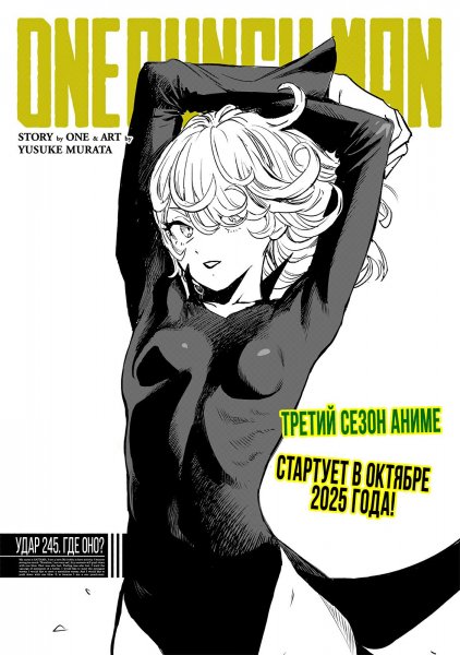 OnePunch-Man v34 ch245
