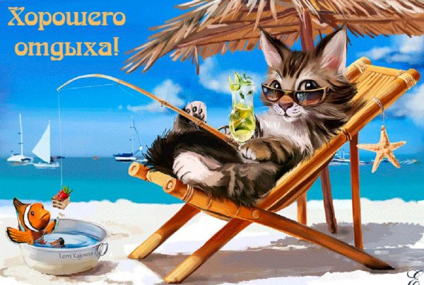 Кот на море