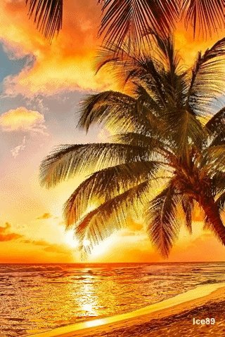 file_51576123