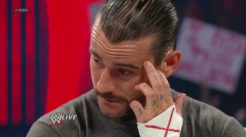 CM PUNK