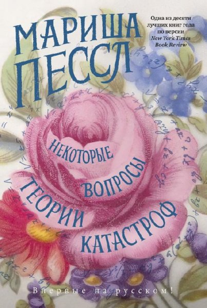 М. Пессл.Некоторые вопросы теории катастроф