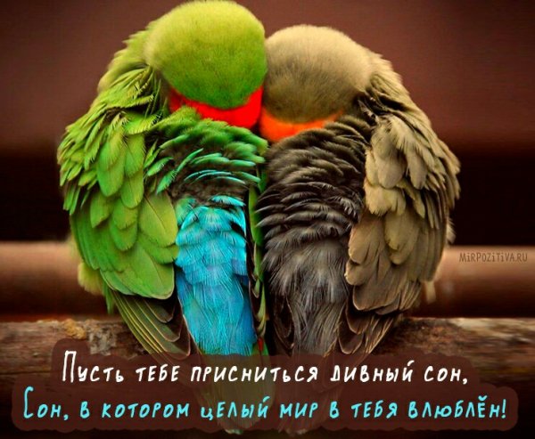 IMG 20181012 210753 043