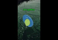 video_110421470