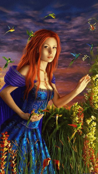 fantasygir hhsSomkp