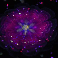 file_62397832