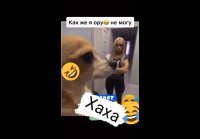 Dab8bf7 884C3F21AE1DE029E09A15D5AE238BB7 video dashinit