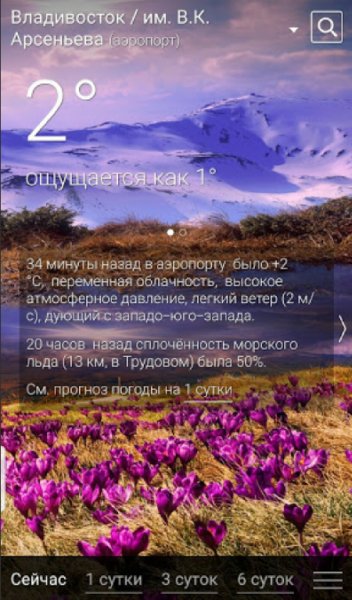 Погода рп5 (2020) 17