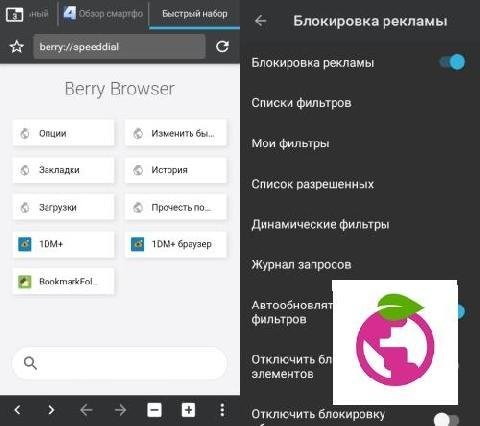 Berry Browser v.3.46.4 [Mod] [Ru]