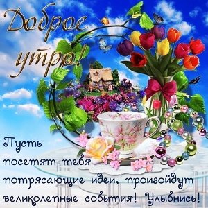 IMG 20181116 052533