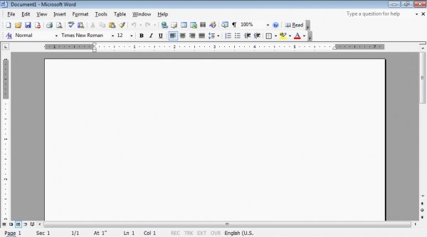 MS Office Word Pro 2003 (Portable)