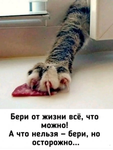file_103519300