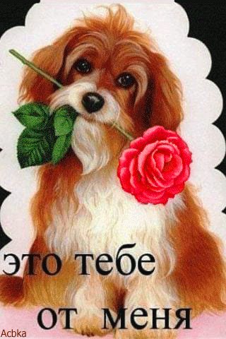 file_76570867