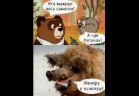 video_104072363