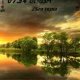 8.1 nature-by-al